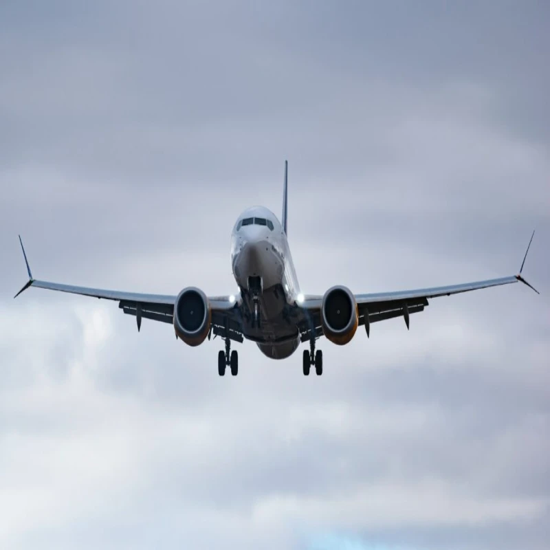 CX MF NH Airlines Cargo Shipping CX MF NH Airlines Cargo Shipping